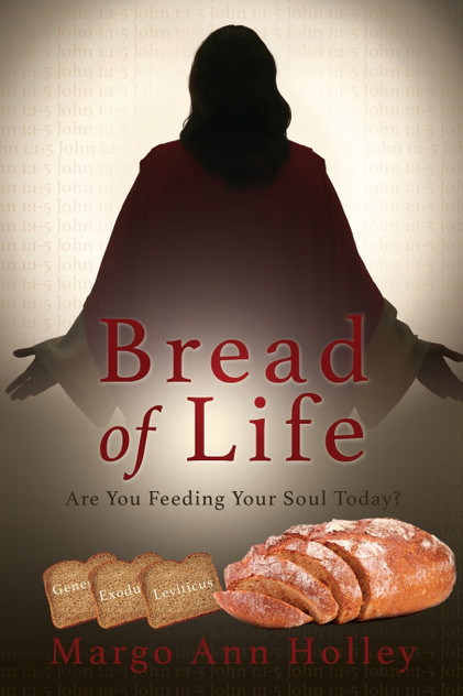 Bread of Life : Are You Feeding Your Soul Today? by Margo Ann Holley (Paperback)