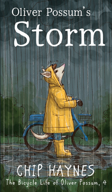 Oliver Possum's Storm by Chip Haynes (Hardcover)