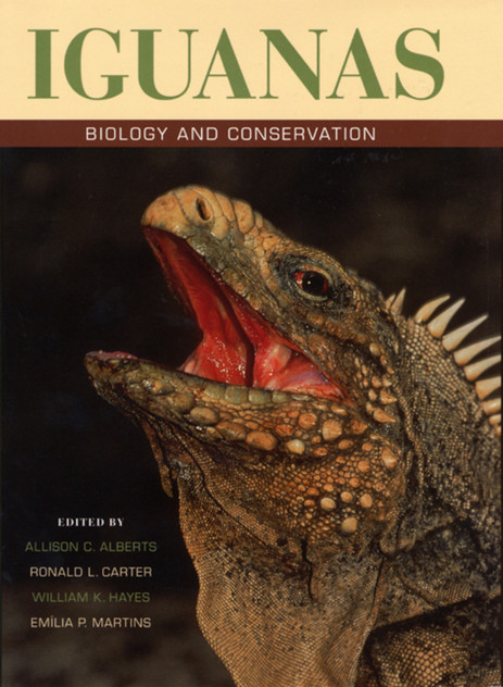 Iguanas Iguanas