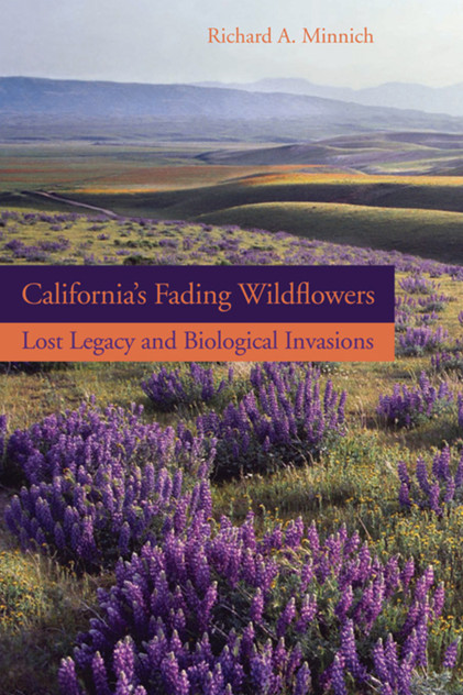 California's Fading Wildflowers California's Fading Wildflowers