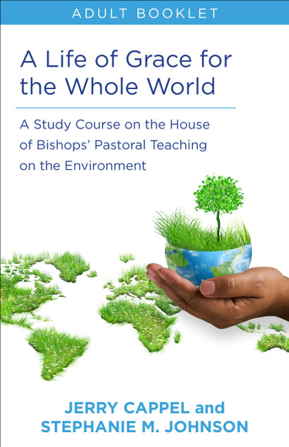 Life of Grace for the Whole World, Adult book Life of Grace for the Whole World, Adult book