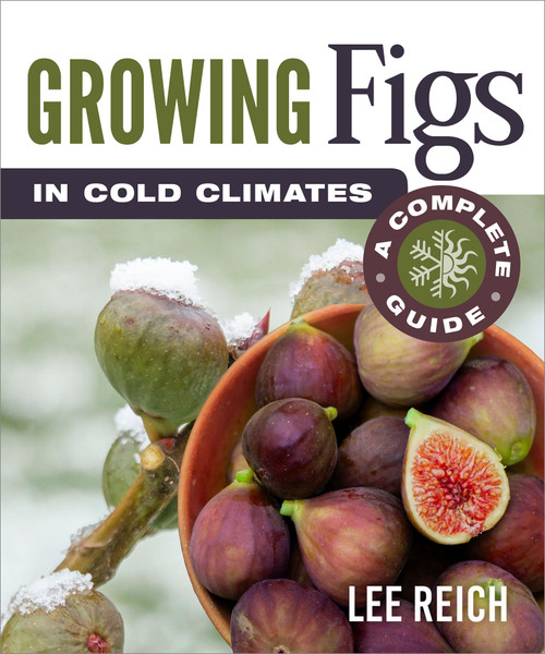 Growing Figs in Cold Climates Growing Figs in Cold Climates