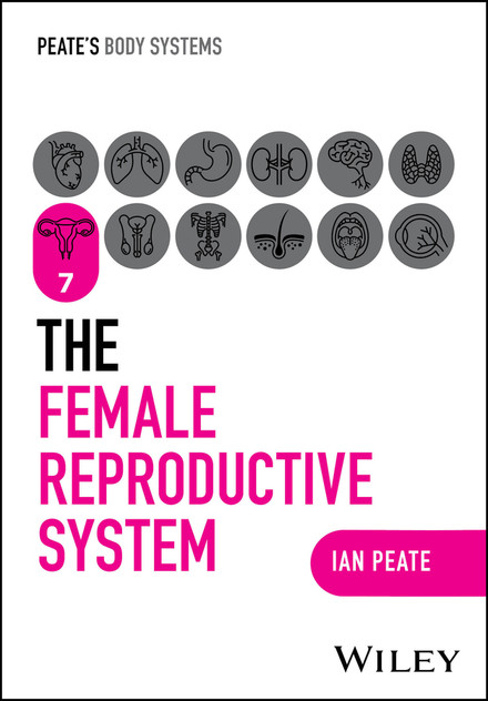 The Female Reproductive System The Female Reproductive System
