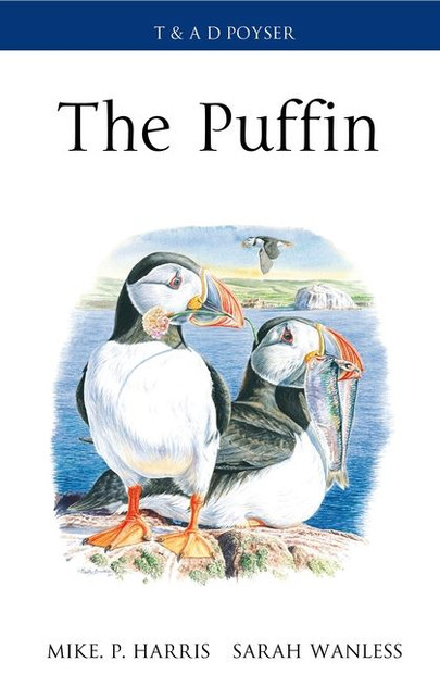 The Puffin The Puffin