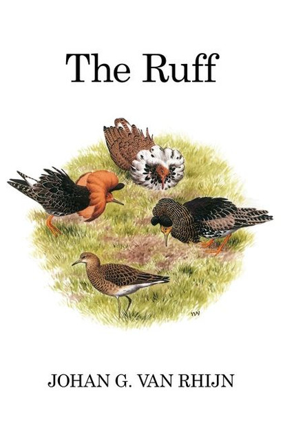 The Ruff The Ruff