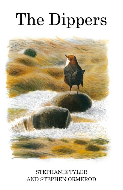 The Dippers The Dippers
