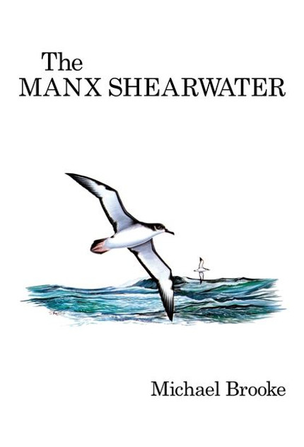 The Manx Shearwater