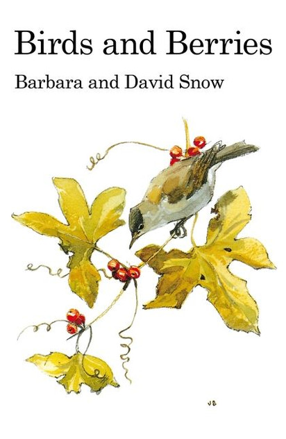 Birds and Berries Birds and Berries