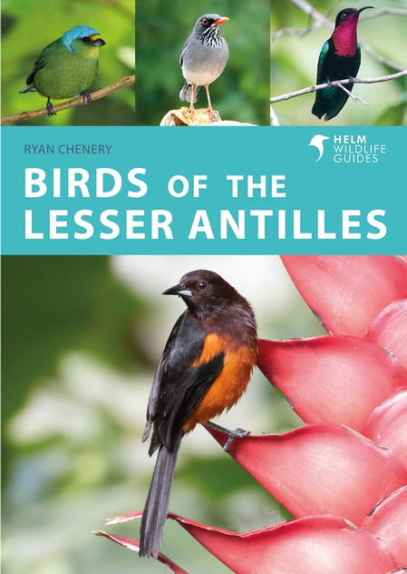 Birds of the Lesser Antilles Birds of the Lesser Antilles
