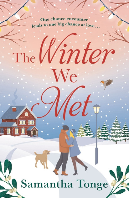 The Winter We Met The Winter We Met