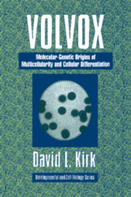 Volvox Volvox