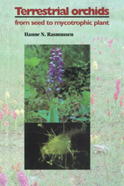Terrestrial Orchids Terrestrial Orchids