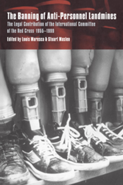 The Banning of Anti-Personnel Landmines The Banning of Anti-Personnel Landmines