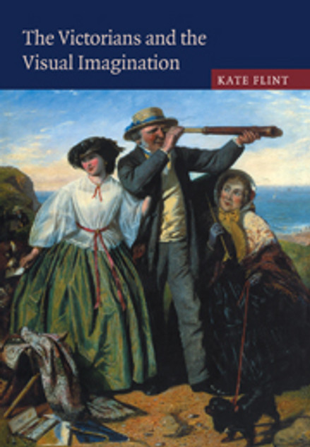 The Victorians and the Visual Imagination The Victorians and the Visual Imagination