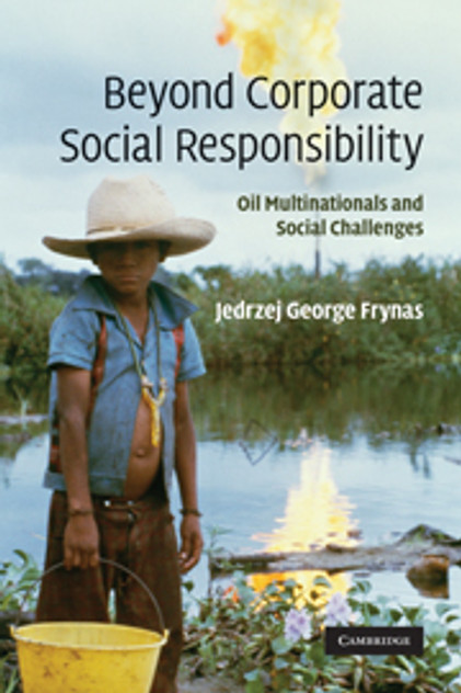 Beyond Corporate Social Responsibility Beyond Corporate Social Responsibility