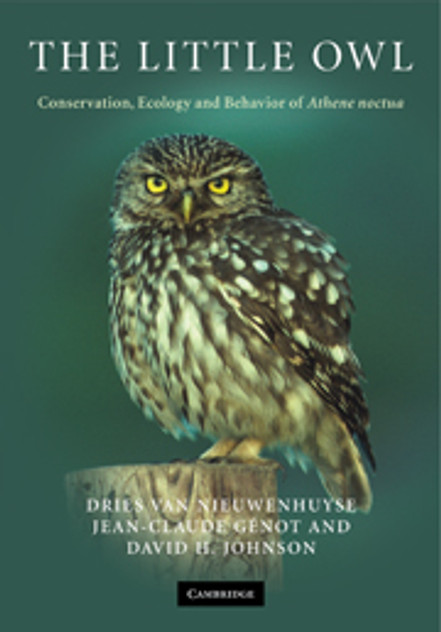 The Little Owl The Little Owl