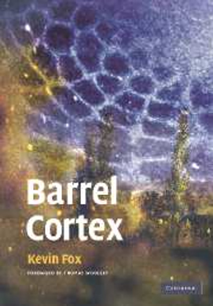 Barrel Cortex