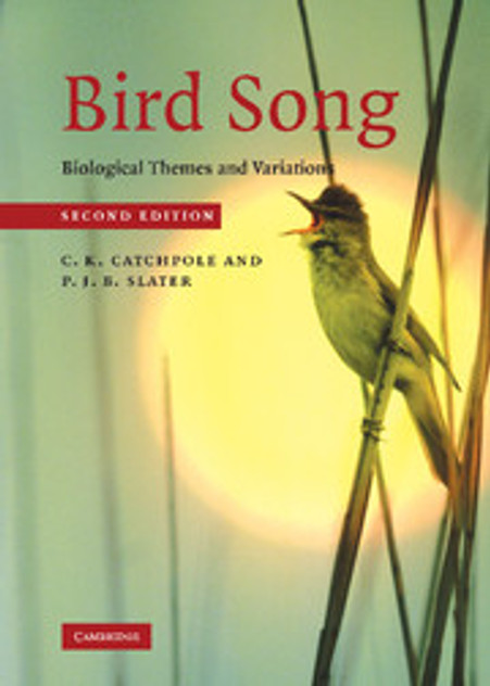 Bird Song Bird Song