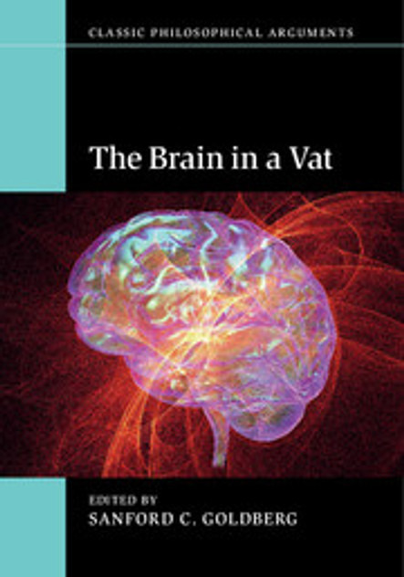 The Brain in a Vat The Brain in a Vat