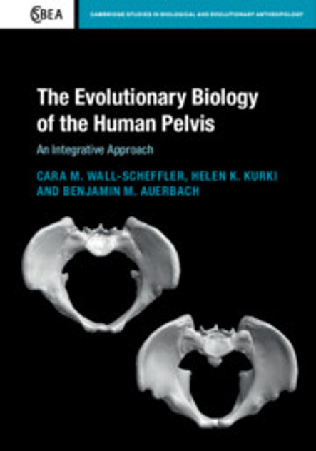 The Evolutionary Biology of the Human Pelvis The Evolutionary Biology of the Human Pelvis