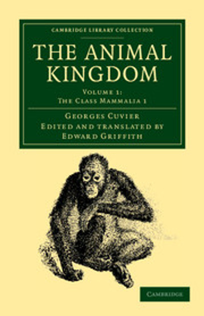 The Animal Kingdom The Animal Kingdom