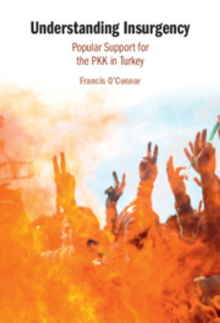 Understanding Insurgency Understanding Insurgency