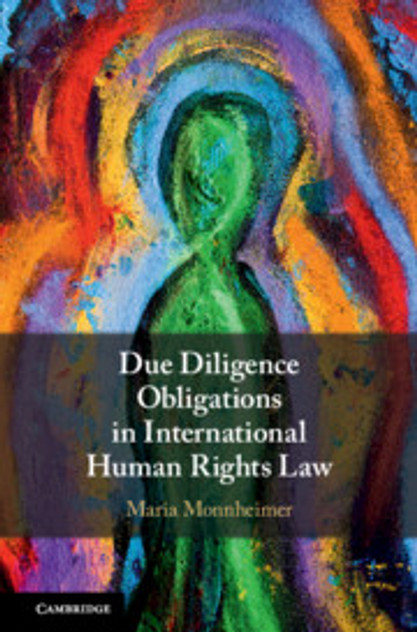Due Diligence Obligations in International Human Rights Law Due Diligence Obligations in International Human Rights Law