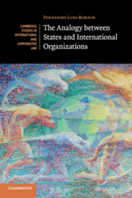 The Analogy between States and International Organizations The Analogy between States and International Organizations