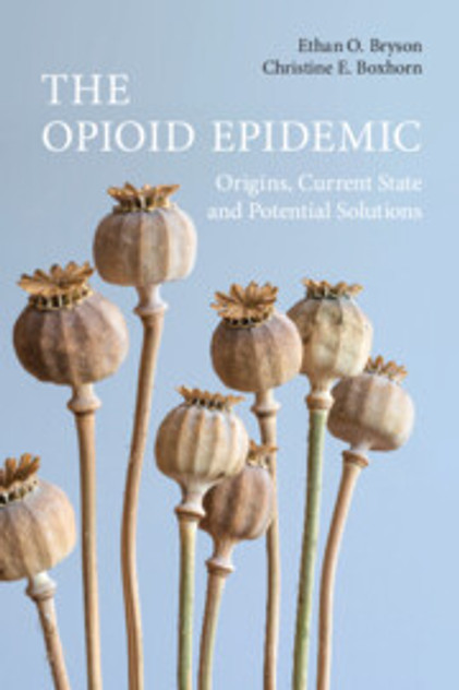The Opioid Epidemic The Opioid Epidemic