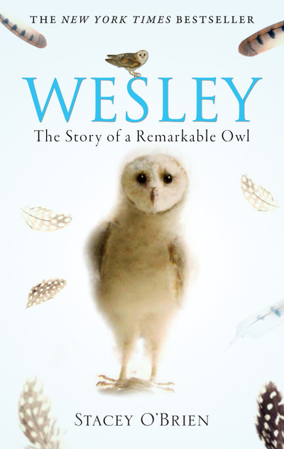 Wesley Wesley