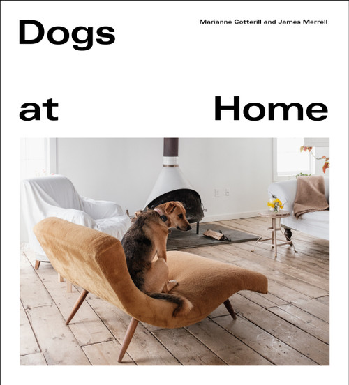 Dogs at Home Dogs at Home