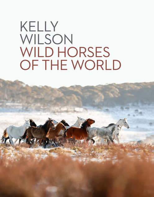 Wild Horses of the World Wild Horses of the World