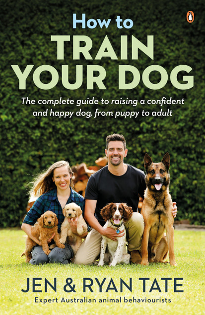 How to Train Your Dog How to Train Your Dog
