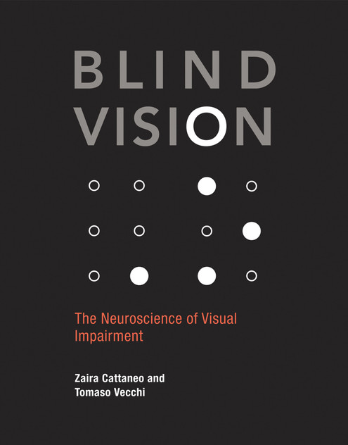 Blind Vision Blind Vision