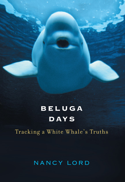 Beluga Days Beluga Days