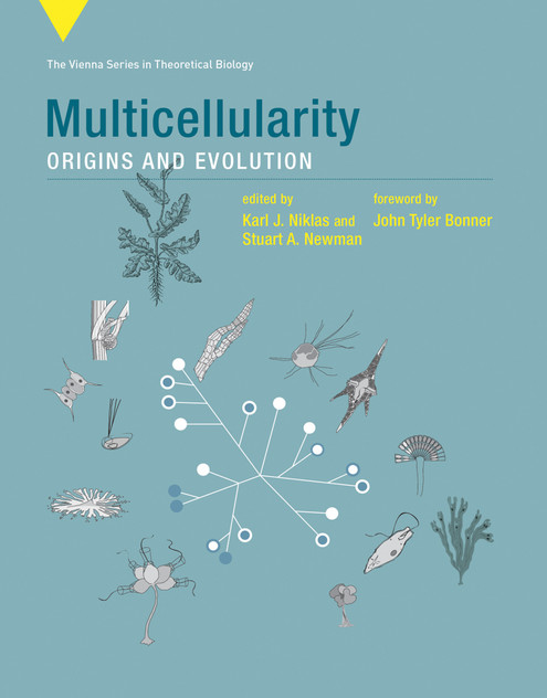 Multicellularity Multicellularity