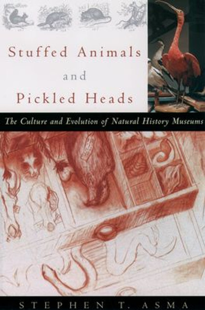 Stuffed Animals and Pickled Heads Stuffed Animals and Pickled Heads