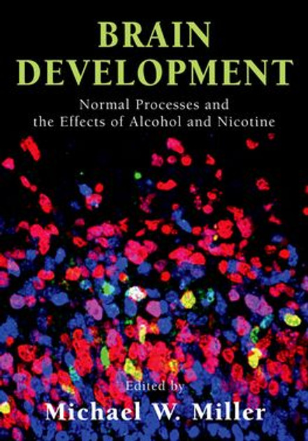 Brain Development Brain Development