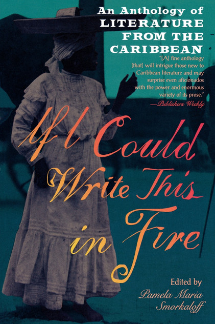 If I Could Write This in Fire
