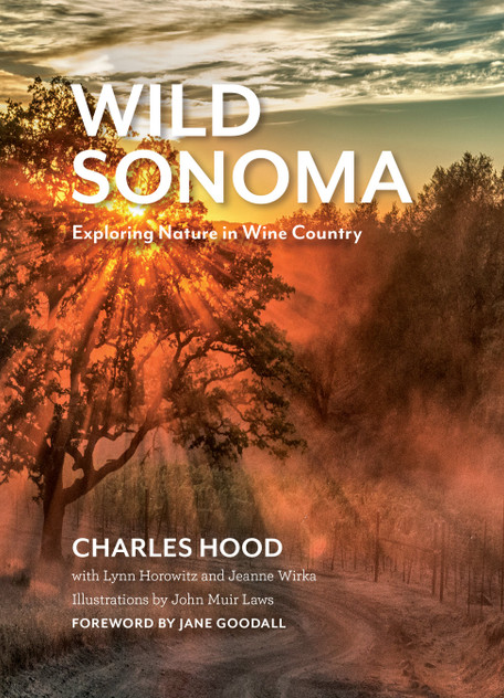 Wild Sonoma Wild Sonoma