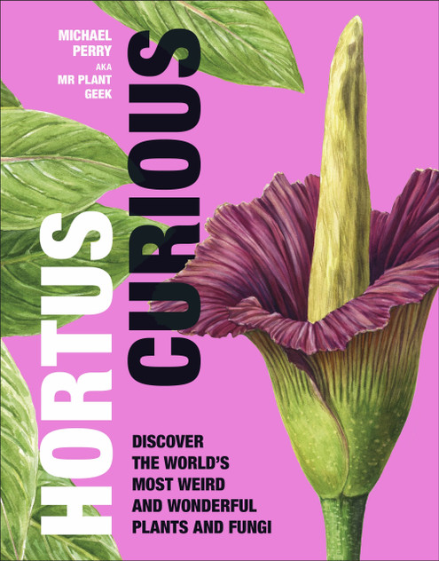 Hortus Curious Hortus Curious