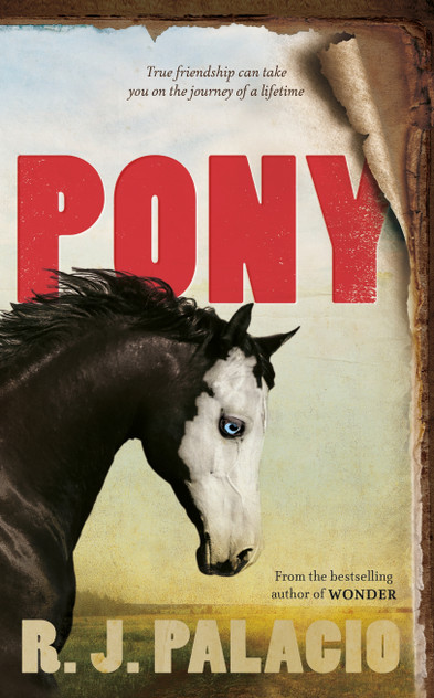Pony Pony