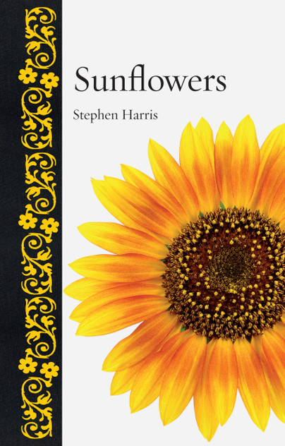 Sunflowers Sunflowers