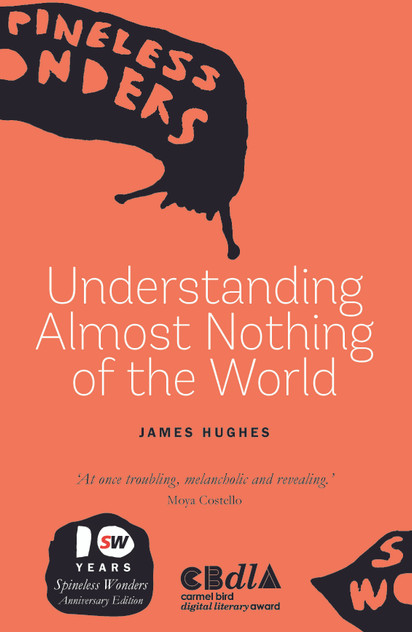 Understanding Almost Nothing of the World Understanding Almost Nothing of the World