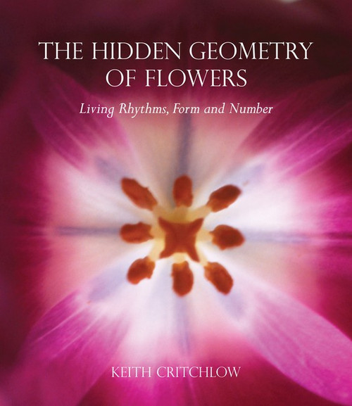 Hidden Geometry of Flowers Hidden Geometry of Flowers