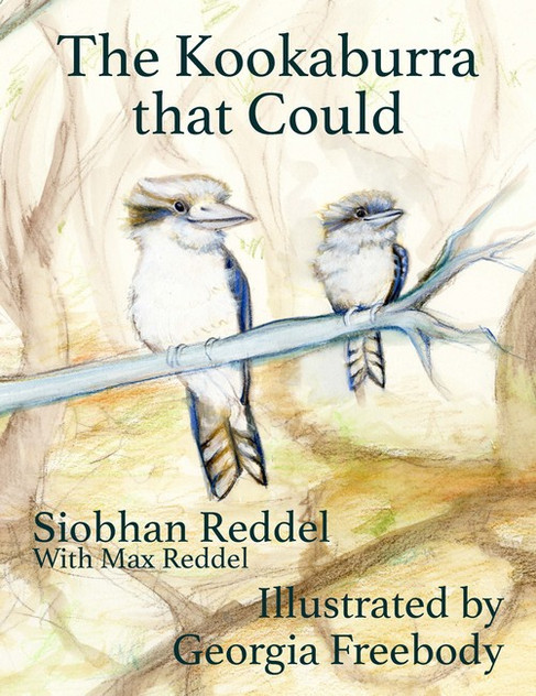 The Kookaburra That Could The Kookaburra That Could