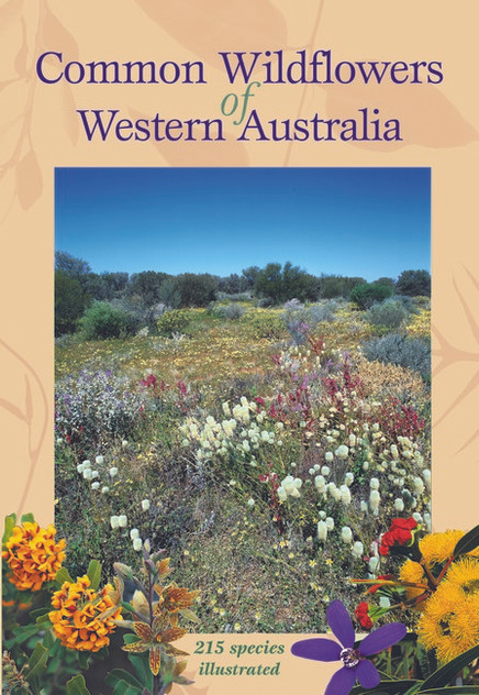 Common Wildflowers of Western Australia Common Wildflowers of Western Australia
