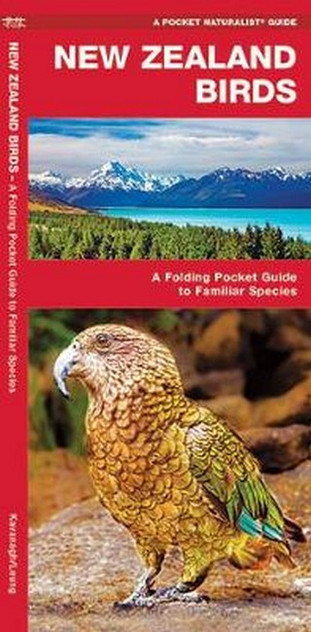 New Zealand Birds New Zealand Birds