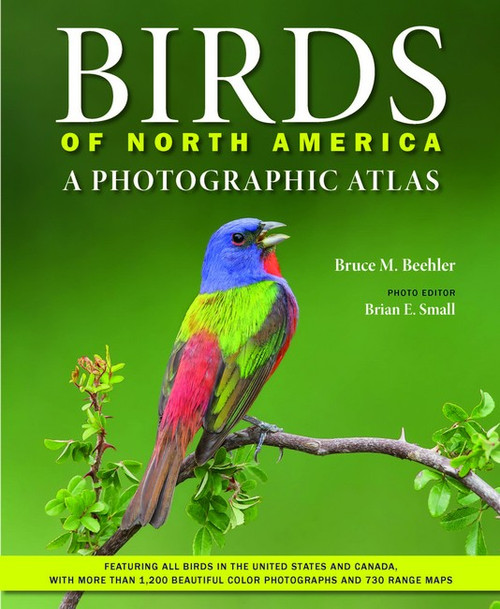 Birds of North America Birds of North America