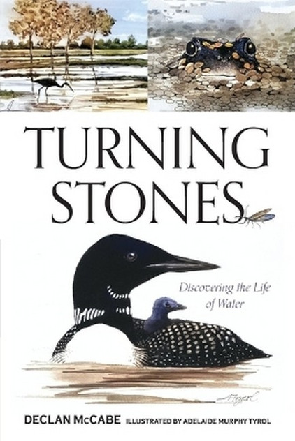 Turning Stones Turning Stones